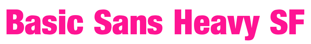 Basic Sans Heavy SF預(yù)覽圖片