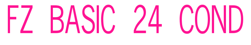 FZ BASIC 24 COND