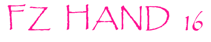 FZ HAND 16預覽圖片