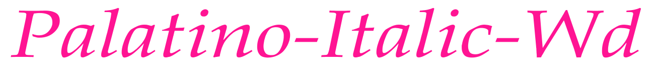Palatino-Italic-Wd預覽圖片