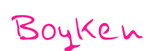 Boyken預(yù)覽圖片