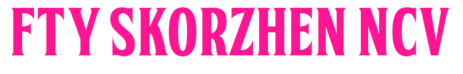 FTY SKORZHEN NCV預(yù)覽圖片