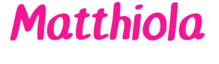 Matthiola預覽圖片