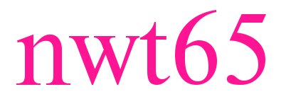 nwt65預(yù)覽圖片