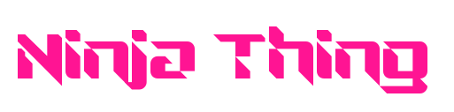 Ninja Thing