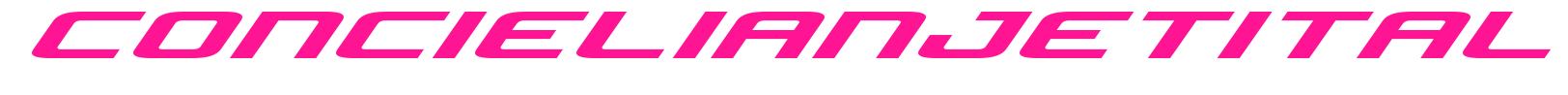 concielianjetital預(yù)覽圖片