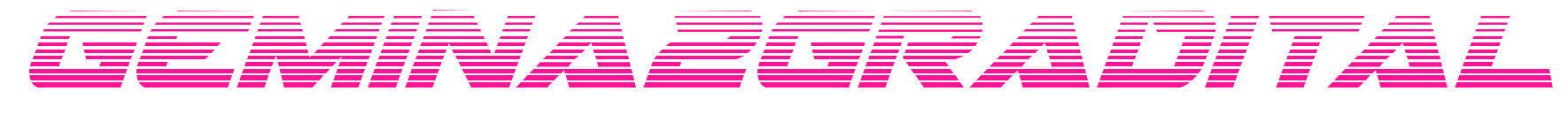 gemina2gradital預(yù)覽圖片
