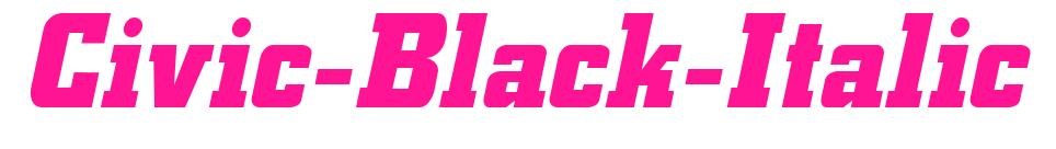 Civic-Black-Italic預(yù)覽圖片