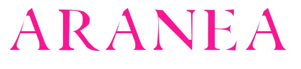 ARANEA預覽圖片