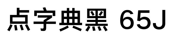 點字典黑 65J