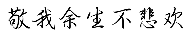 敬我余生不悲歡預覽圖片